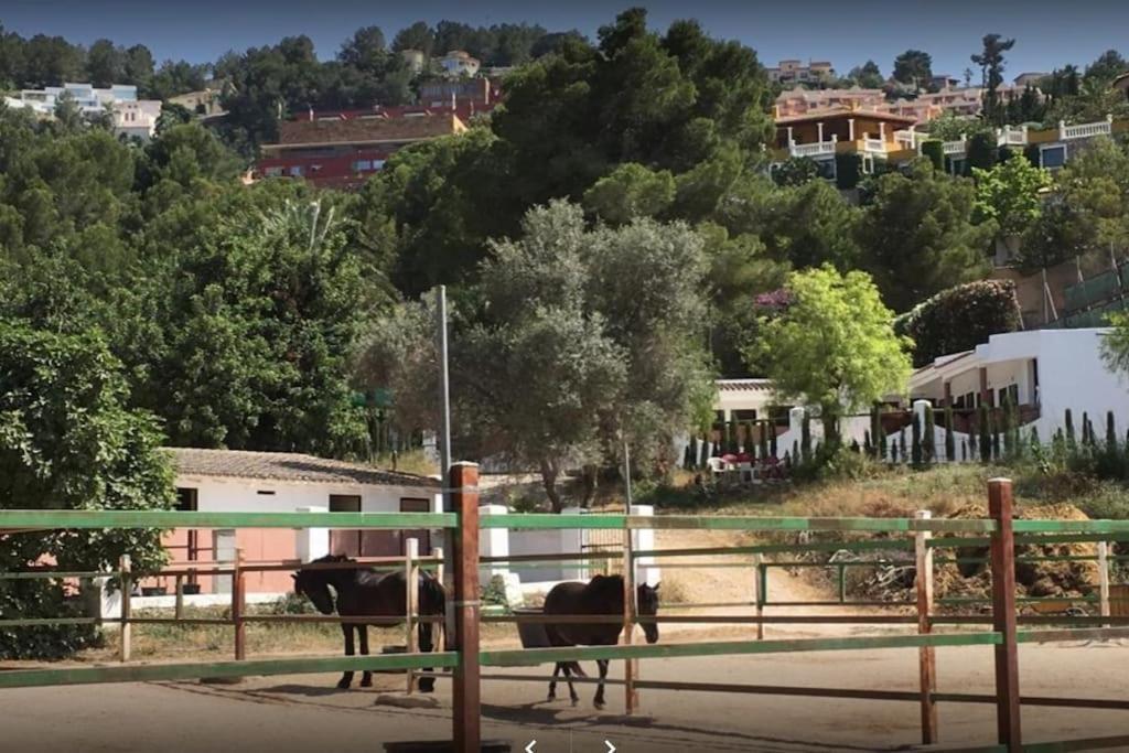 דירות פדרגר Denia - Golf La Sella "Refugio Marino" מראה חיצוני תמונה